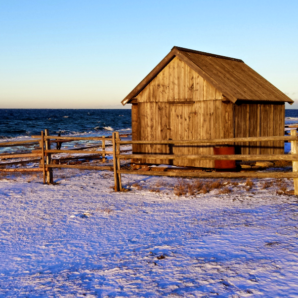 Stuga på Öland